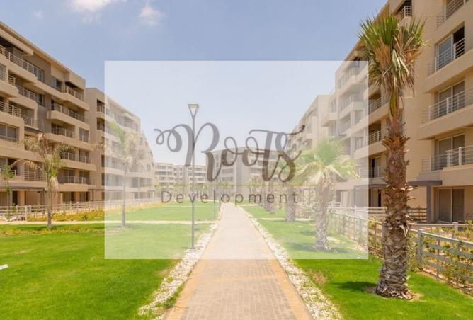 7906477 - Property Image 2