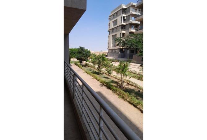 8100461 - صورة العقار 3