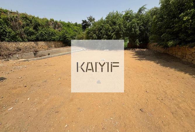 8392910 - صورة العقار 2