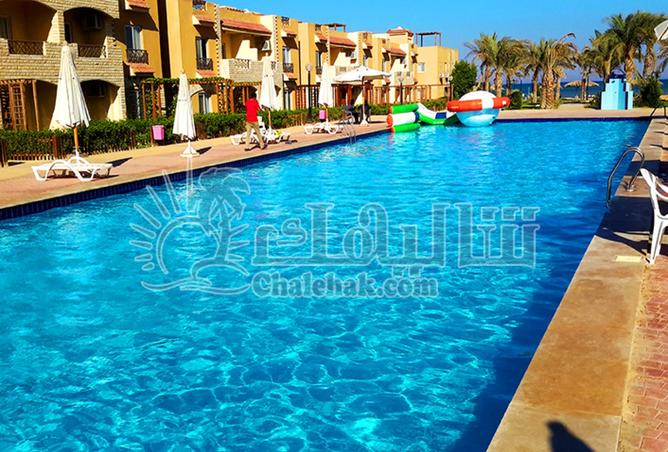 8287801 - صورة العقار 2