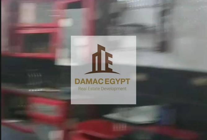 8133135 - صورة العقار 3