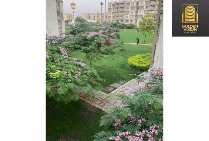 8224116 - صورة العقار 3