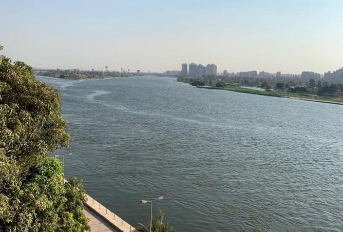 7907918 - الصورة الرئيسية للعقار