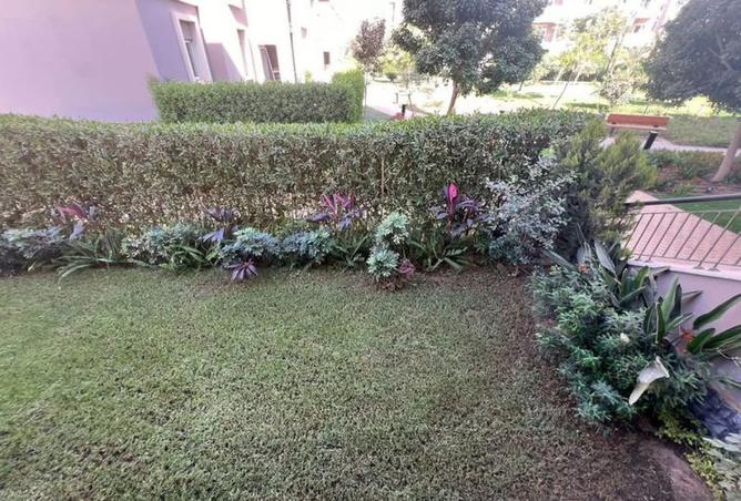 8156391 - صورة العقار 2