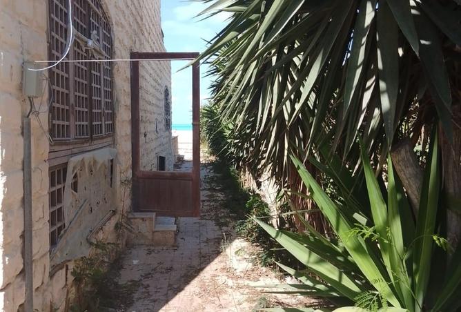 8181086 - صورة العقار 3