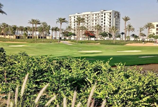 8328114 - Property Image 3