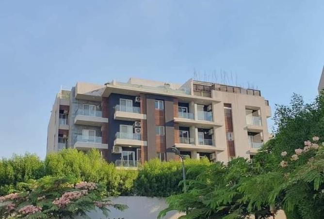 8246146 - Property Image 2