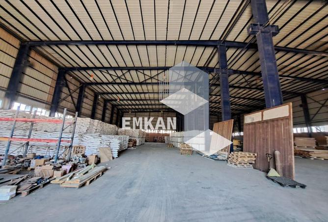 8040055 - Property Image 3