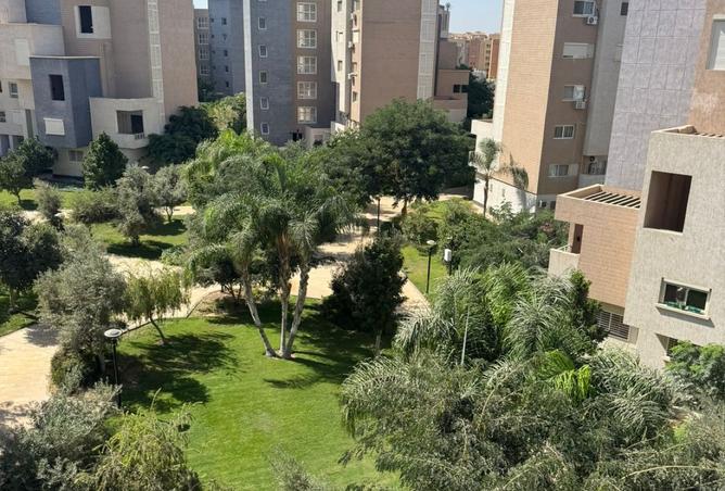 8137900 - Property Image 3