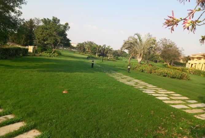 8506233 - Property Image 3