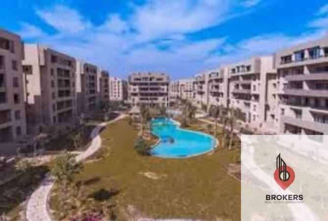 8312409 - Property Image 3