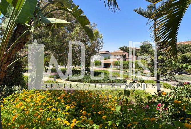 8190185 - Property Image 2