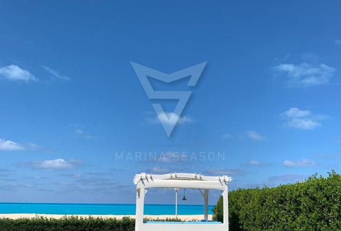 8339136 - Property Image 3