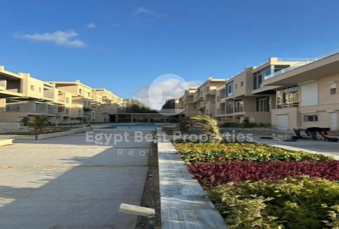 8253294 - Property Image 3