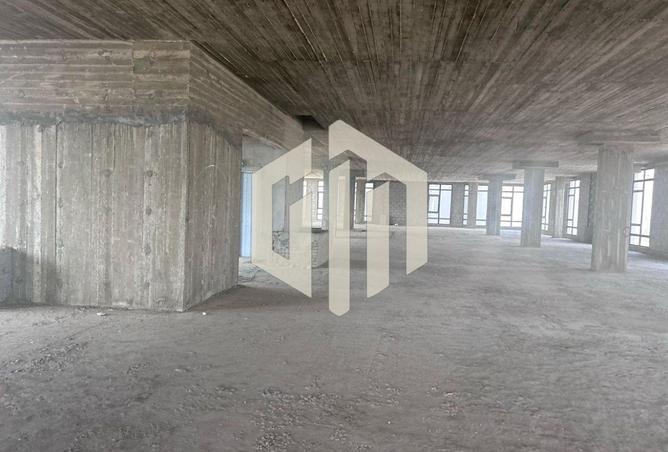 8423834 - Property Image 3