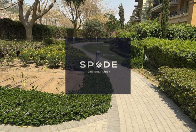 8109525 - Property Image 3