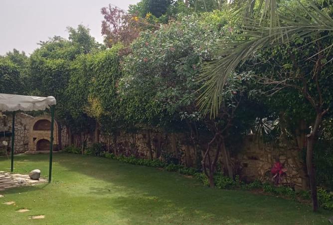 7913144 - صورة العقار 3
