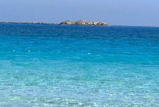 7927328 - صورة العقار 2