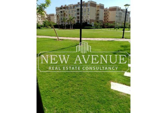 8251441 - Property Image 2