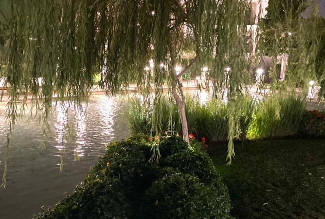 8182259 - صورة العقار 3