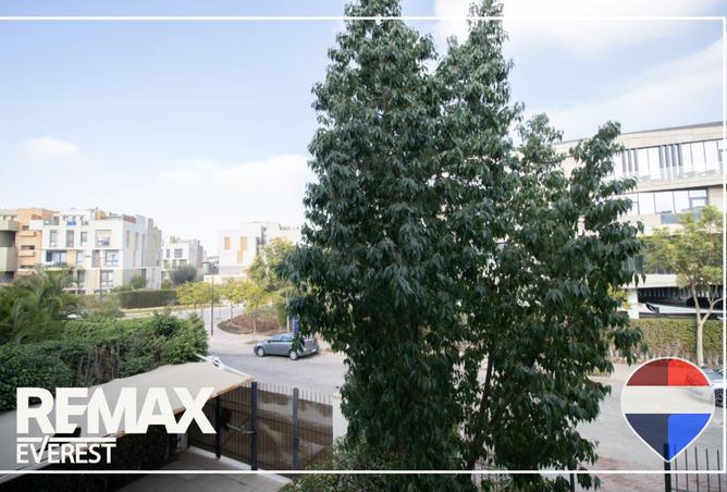 8493481 - Property Image 3