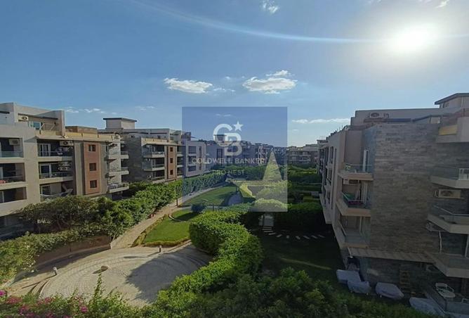 8085205 - صورة العقار 3
