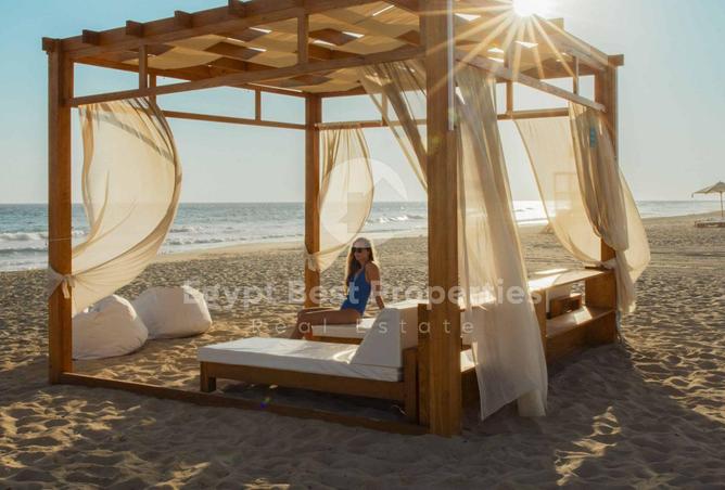 8564308 - Property Image 3