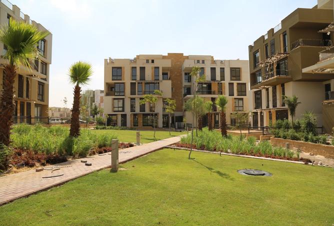 7916156 - Property Image 3