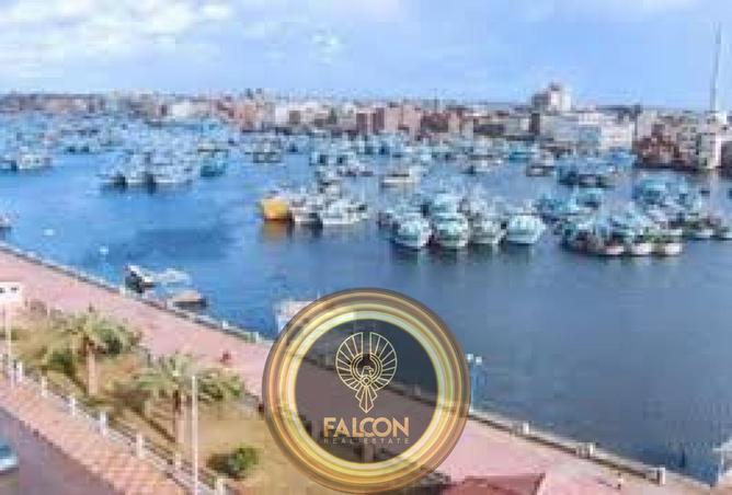 7895414 - صورة العقار 3