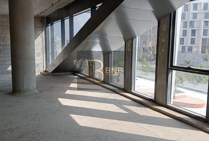 8185502 - Property Image 3