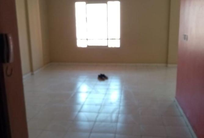 7951552 - صورة العقار 2