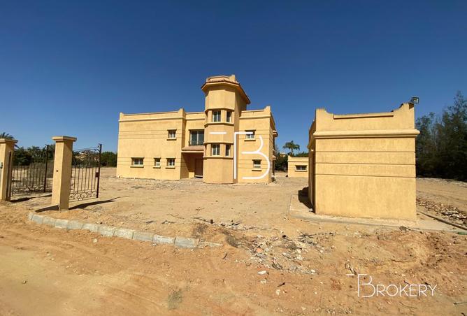 8068578 - صورة العقار 3