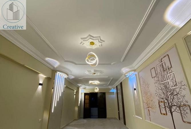 8441921 - Property Image 2