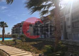 Apartment - 2 bedrooms - 2 bathrooms for للبيع in Soma Breeze - Soma Bay - Safaga - Hurghada - Red Sea