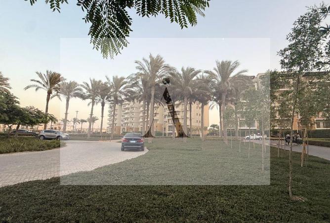 8004807 - Property Image 3