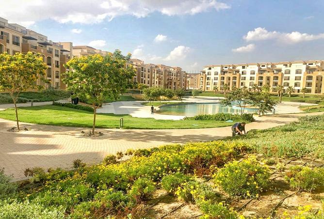 7983529 - صورة العقار 2