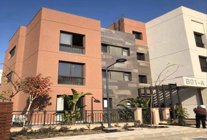 7995277 - صورة العقار 2