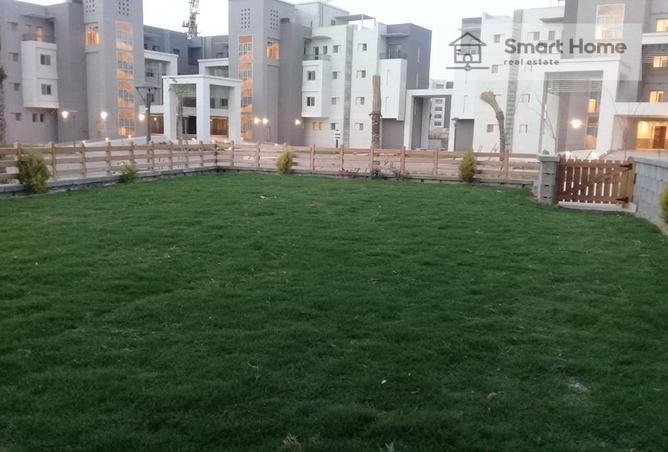 7958305 - صورة العقار 3