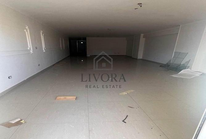 8036009 - Property Image 3