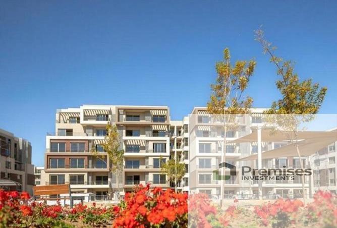 8449488 - Property Image 3