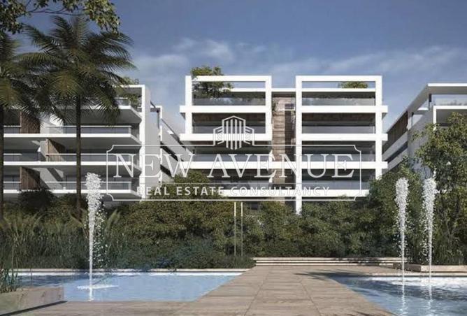 8249846 - Property Image 3