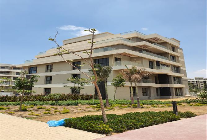 7994323 - صورة العقار 3