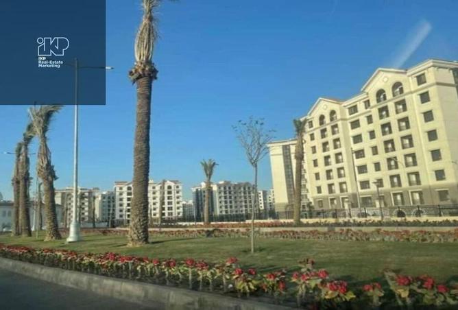 8277449 - Property Image 3