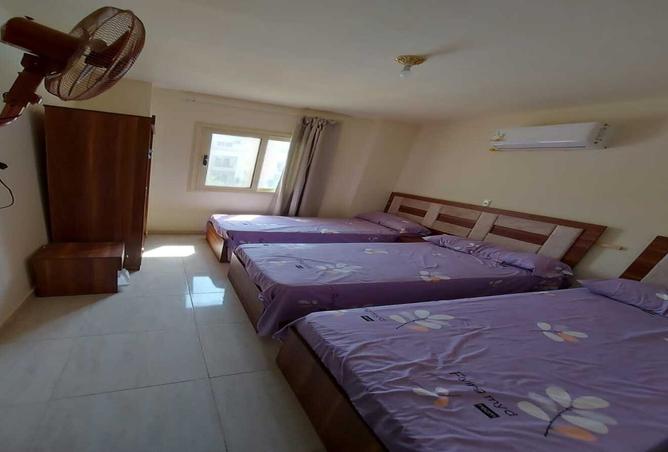 8008685 - Property Image 3