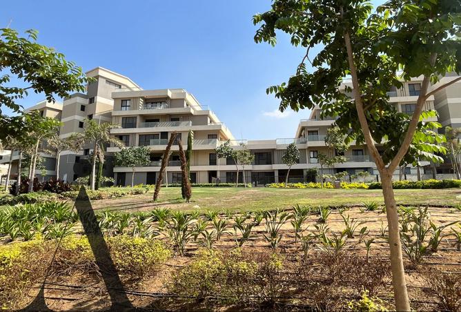 8231184 - صورة العقار 3