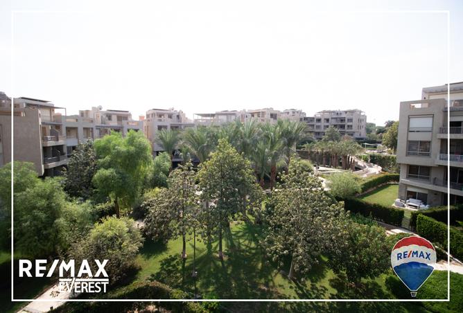 7974122 - صورة العقار 2