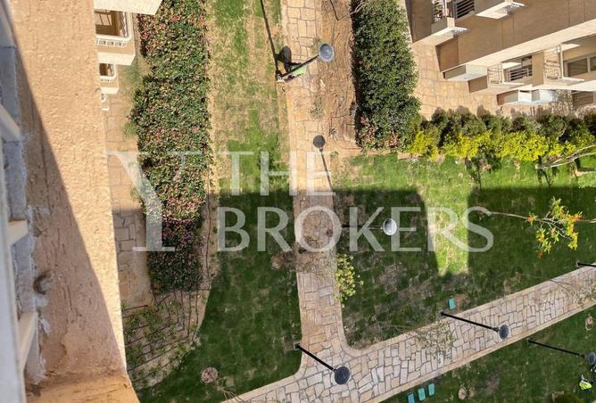 8323031 - Property Image 3