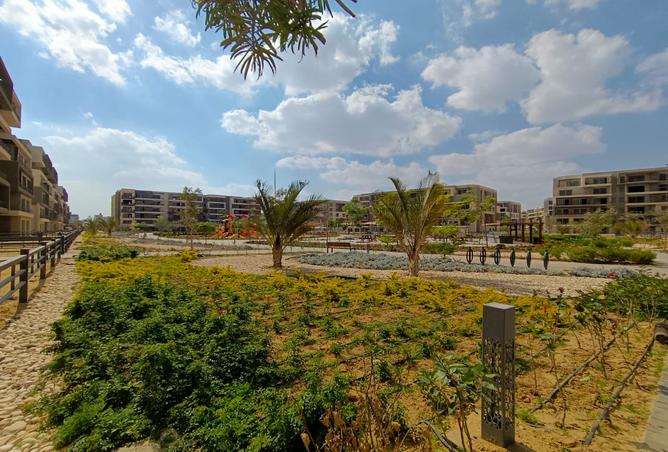 7969660 - صورة العقار 2