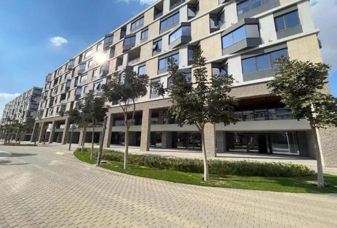 8247507 - Property Image 3