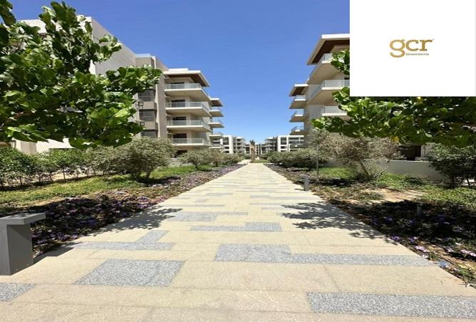 8387999 - Property Image 3